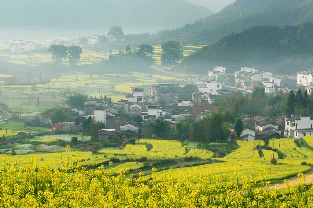 开启赣粤融湾快旅慢游新局面 ——“江西风景独好”（深圳）文旅消费促进系列活动走进深圳