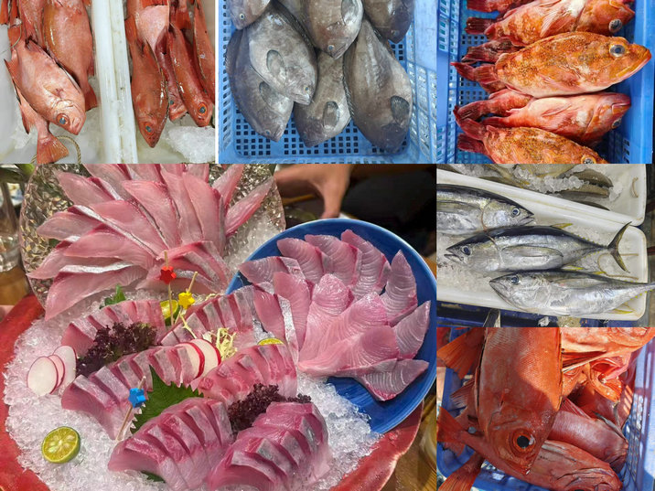 微信图片_20261031161737_4097_91.jpg