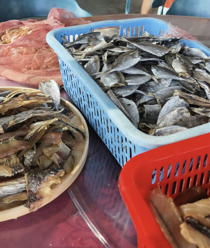 微信图片_20261031161514_301_65.jpg